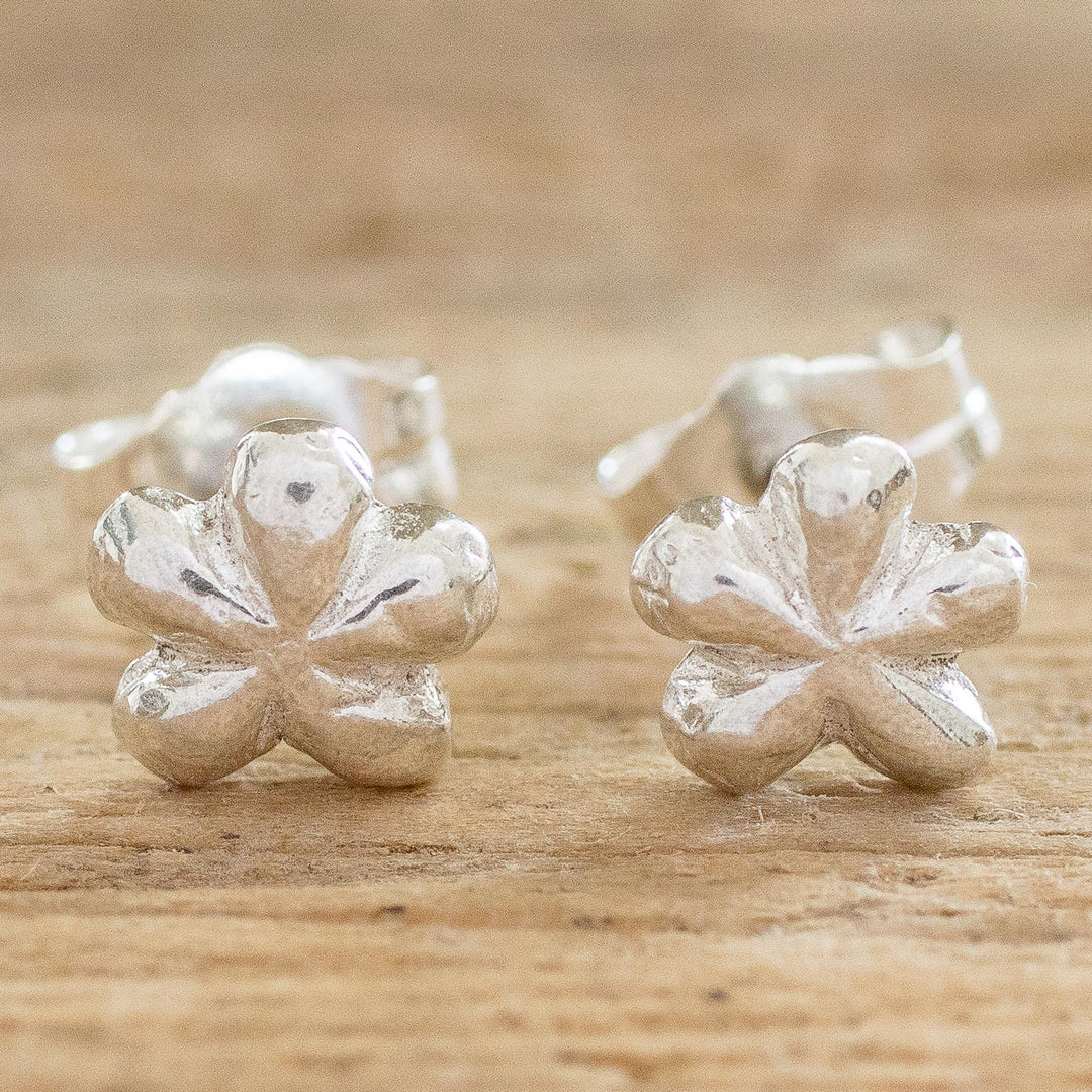 Dainty Daisy