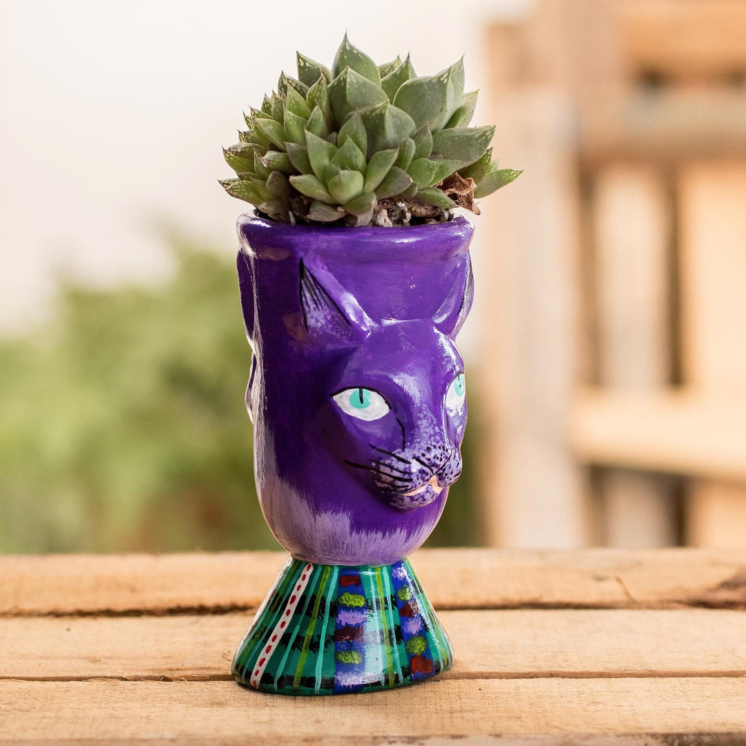 Top Cat in Purple