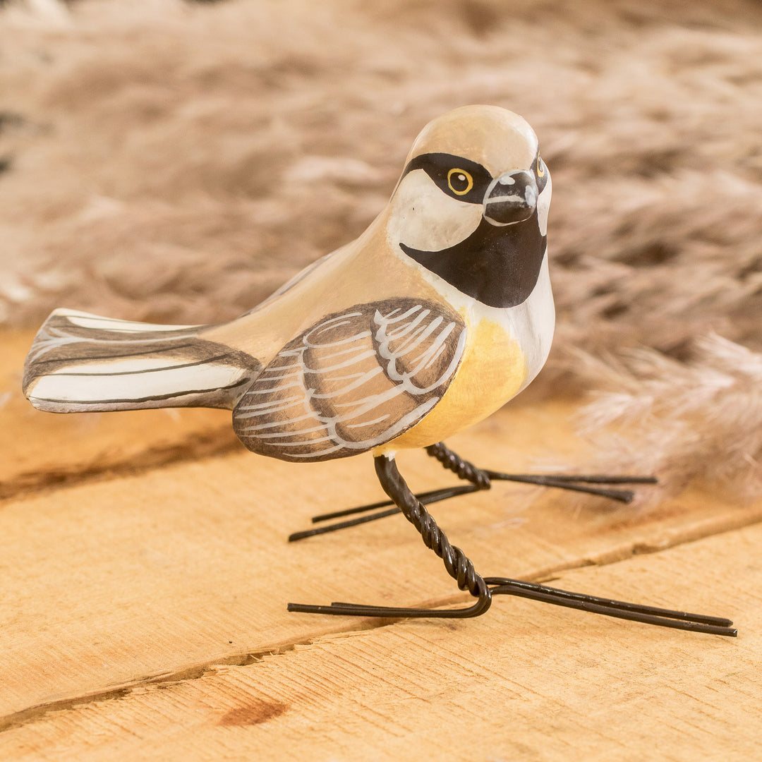 Greyheaded Chickadee