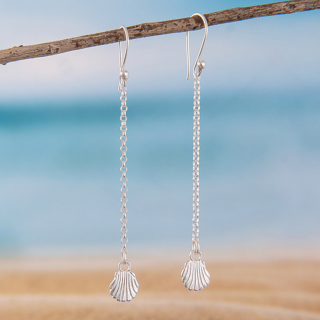 Shell Shine