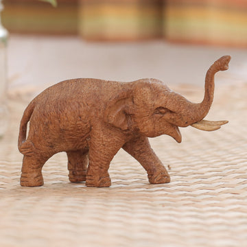 Elephant Amble