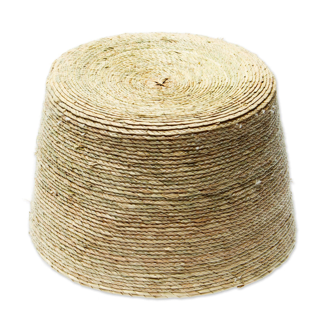 Handwoven Basket from Mexico - Palm Paradise