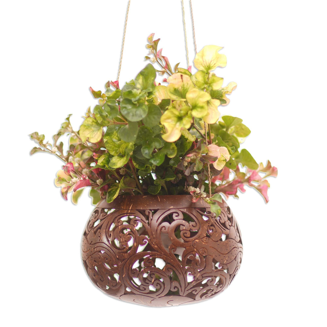Hand Made Coconut Shell Hanging Planter - Tropical House in Lizard