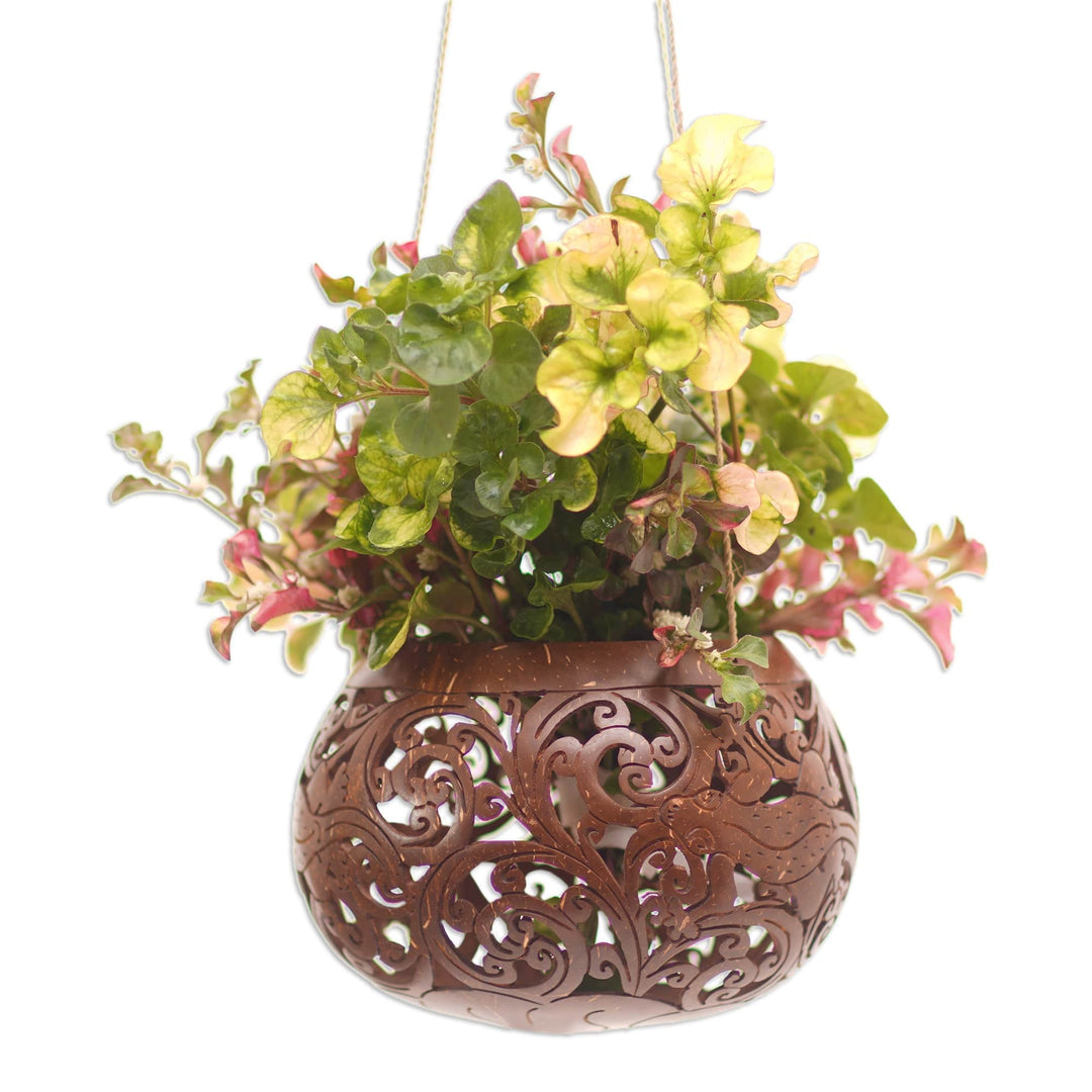 Hand Made Coconut Shell Hanging Planter - Tropical House in Lizard