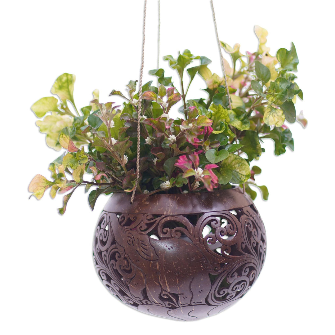 Hand Crafted Coconut Shell Hanging Planter - Tropical House in Elephant