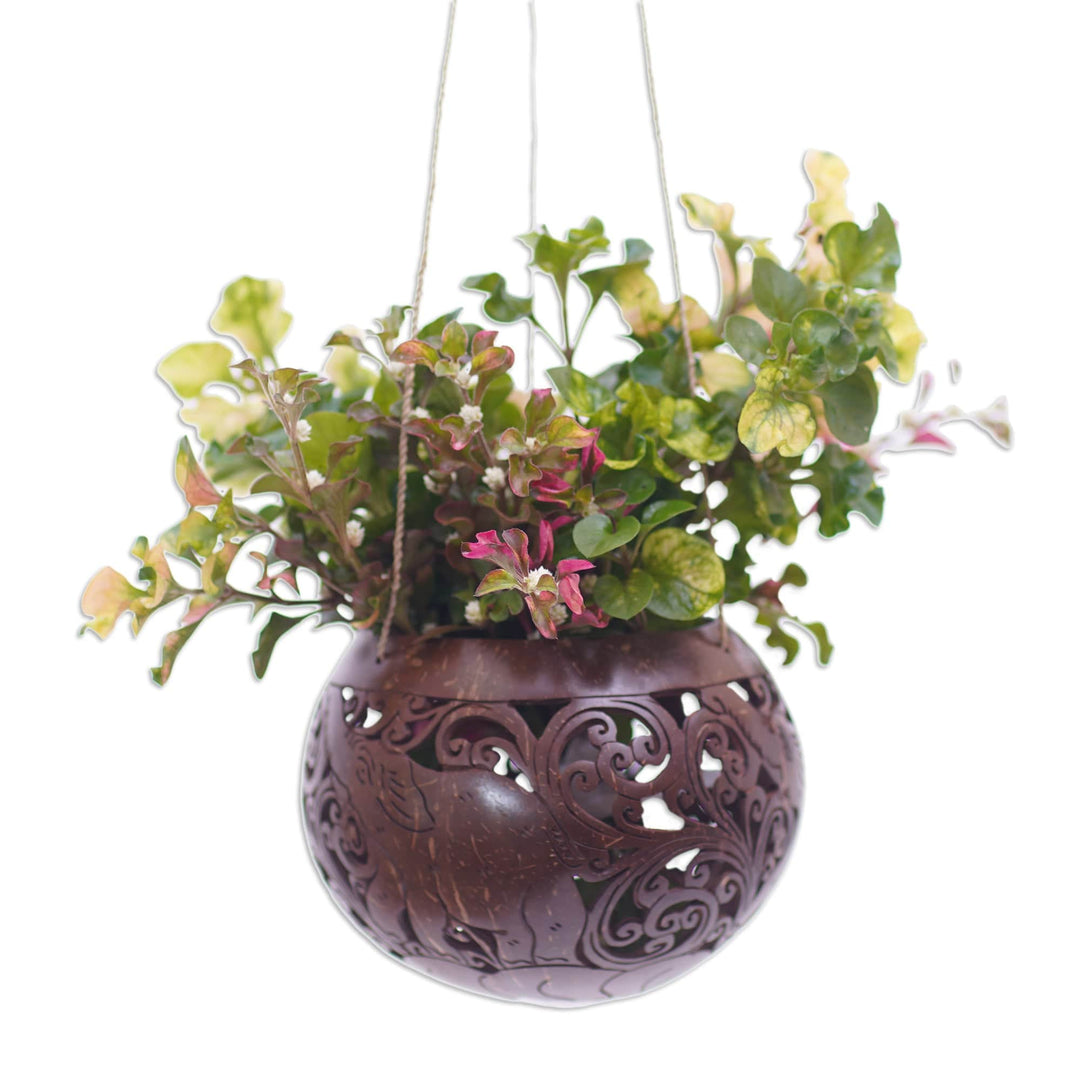 Hand Crafted Coconut Shell Hanging Planter - Tropical House in Elephant