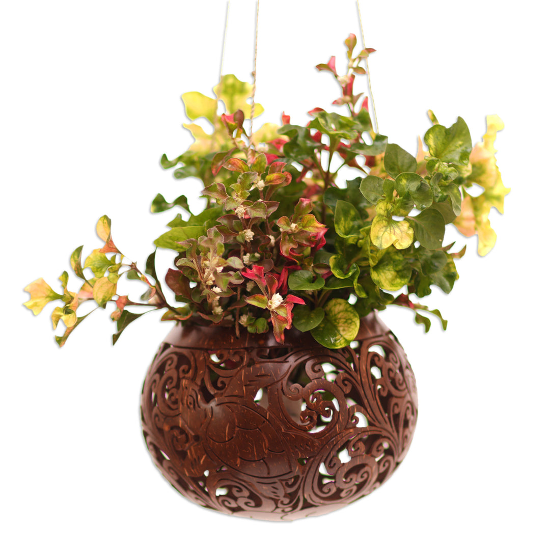 Handcrafted Coconut Shell Hanging Planter from Bali - Tropical House in Turtle