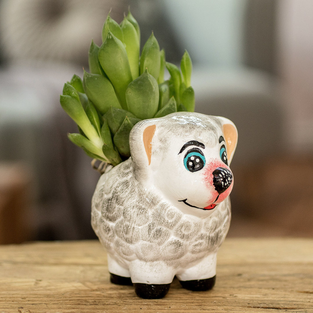 Herbaceous Sheep