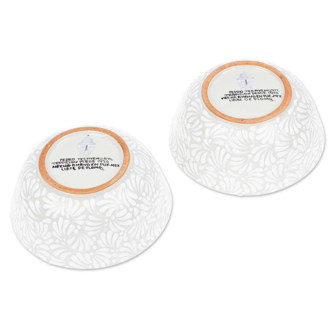 2 Talavera Style Hand-Painted Ceramic Bowls in Alabaster - Dreamy Spring