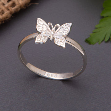 Flying Butterfly