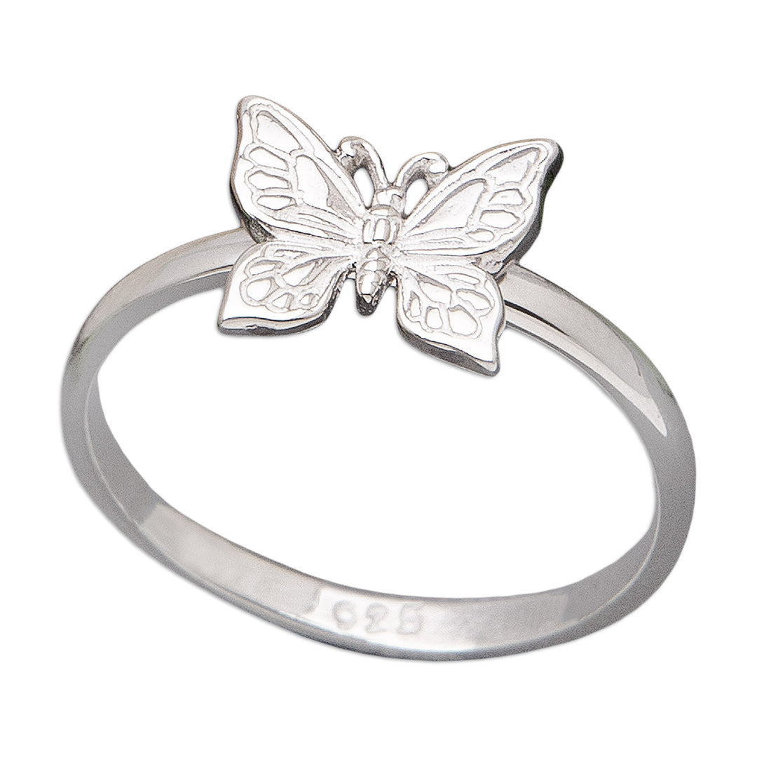 Flying Butterfly
