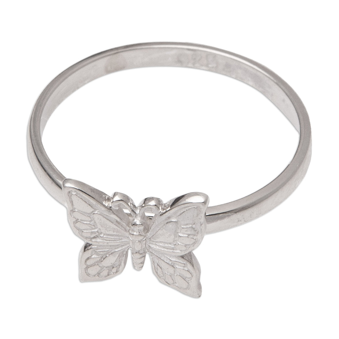 Flying Butterfly