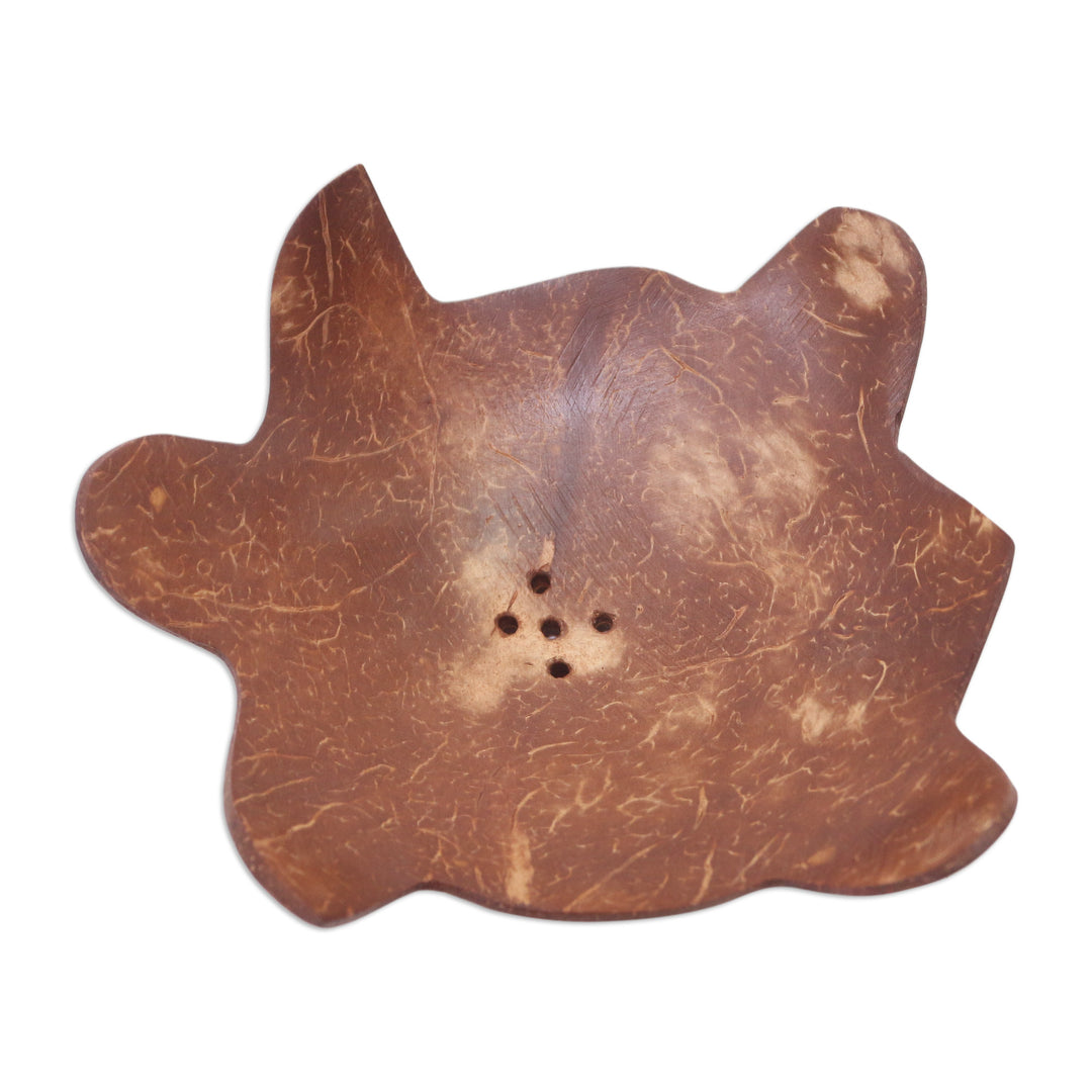Coconut Shell Soap Dish with Turtle Motif - Come Clean