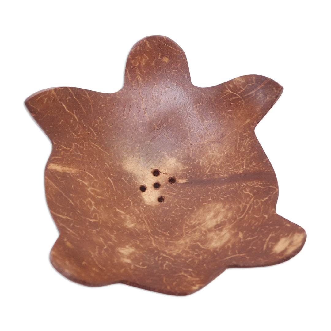 Coconut Shell Soap Dish with Turtle Motif - Come Clean