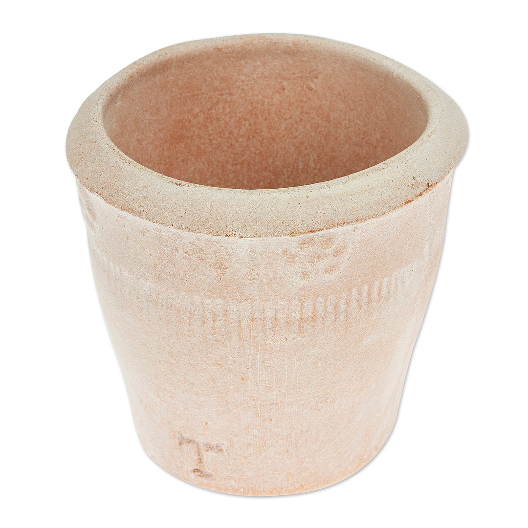 Handcrafted Small Ceramic Flower Pot from Mexico - Natural Rustic