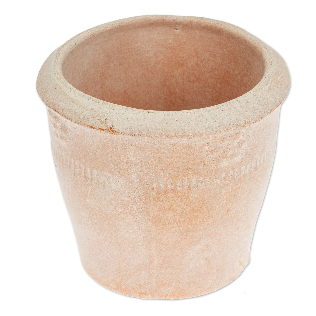 Handcrafted Small Ceramic Flower Pot from Mexico - Natural Rustic