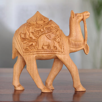 Camel Ride