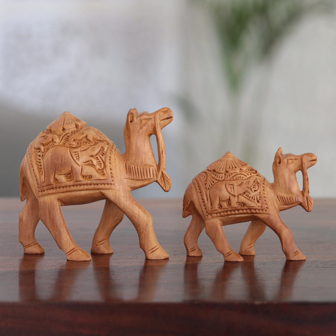 Camel Caravan