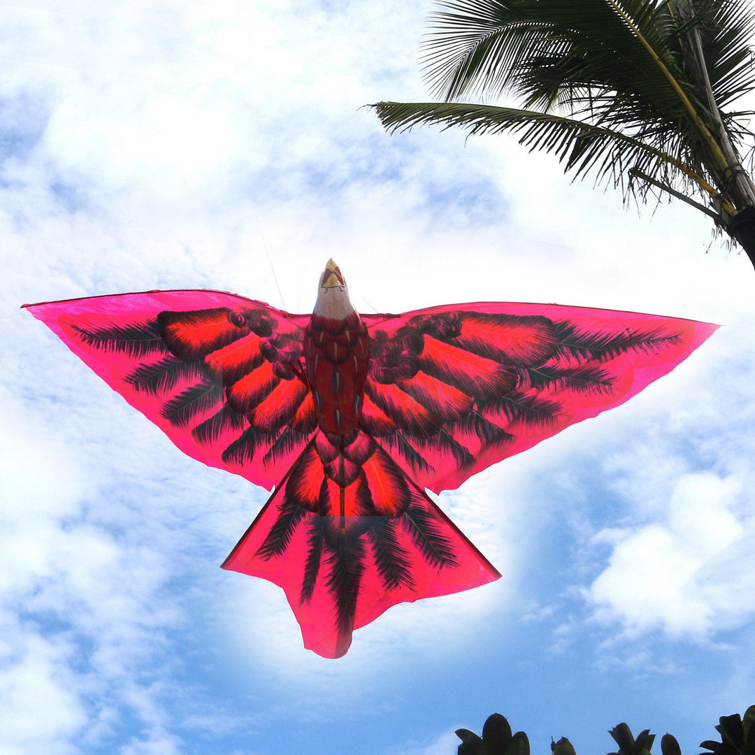 Red Eagle in Flight