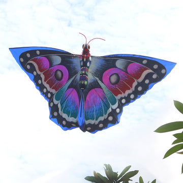 Tropical Butterfly