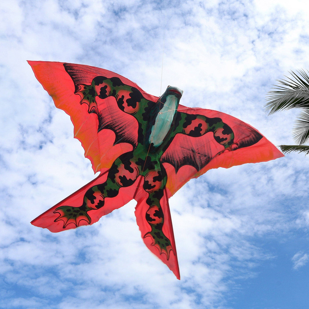 Flying Frog