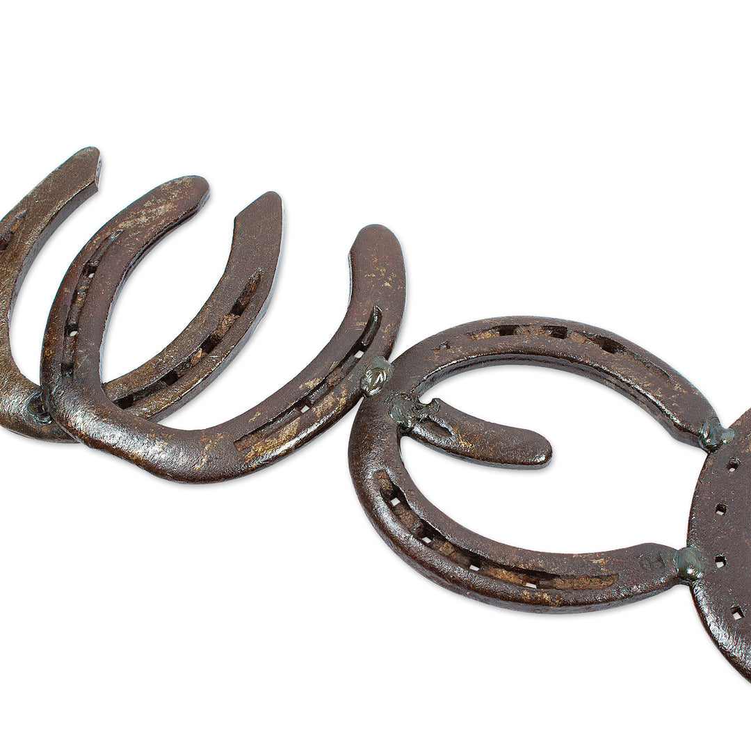 Handcrafted Brown Iron Horseshoe Wall Decoration from Mexico - Iron Greetings