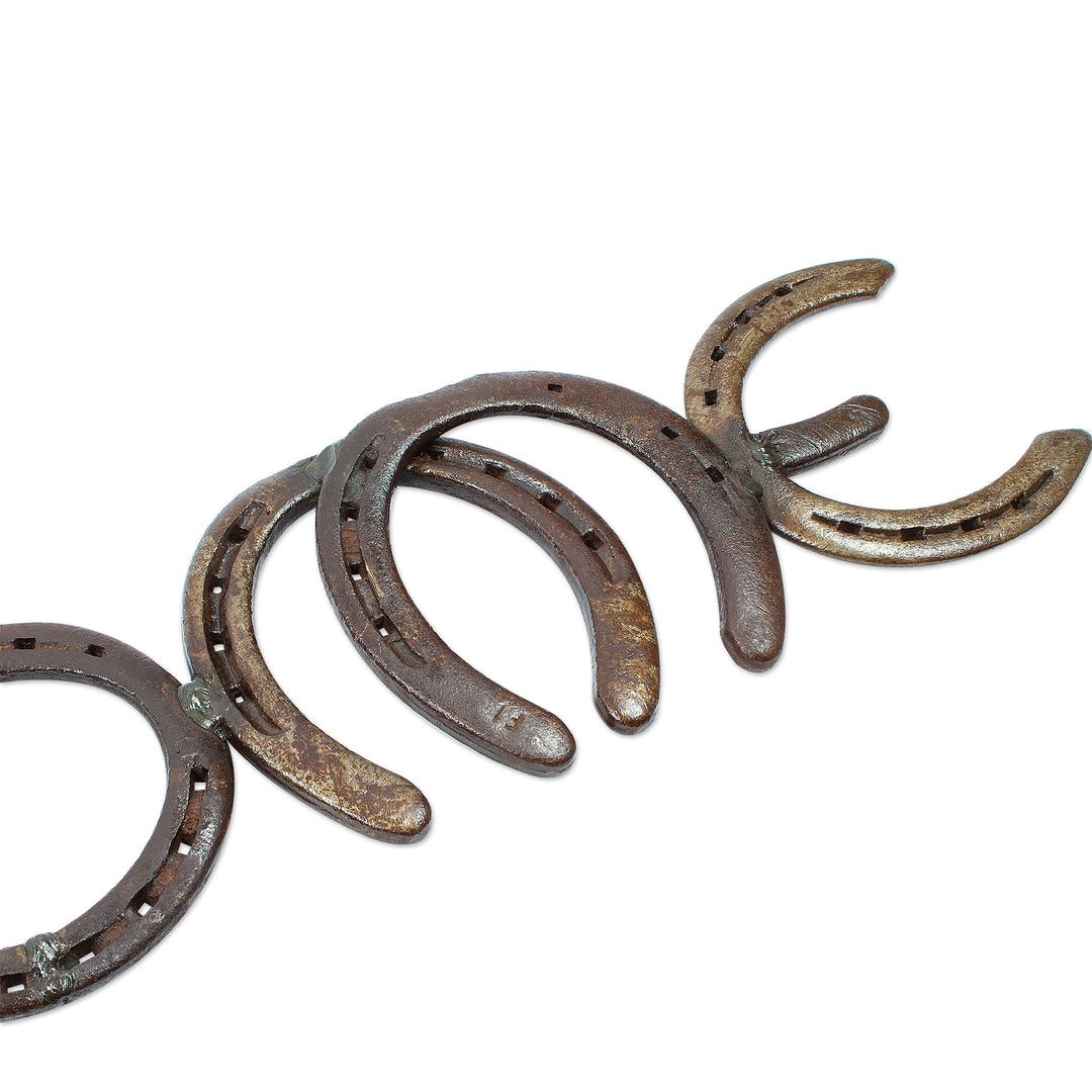 Handcrafted Brown Iron Horseshoe Wall Decoration from Mexico - Iron Greetings