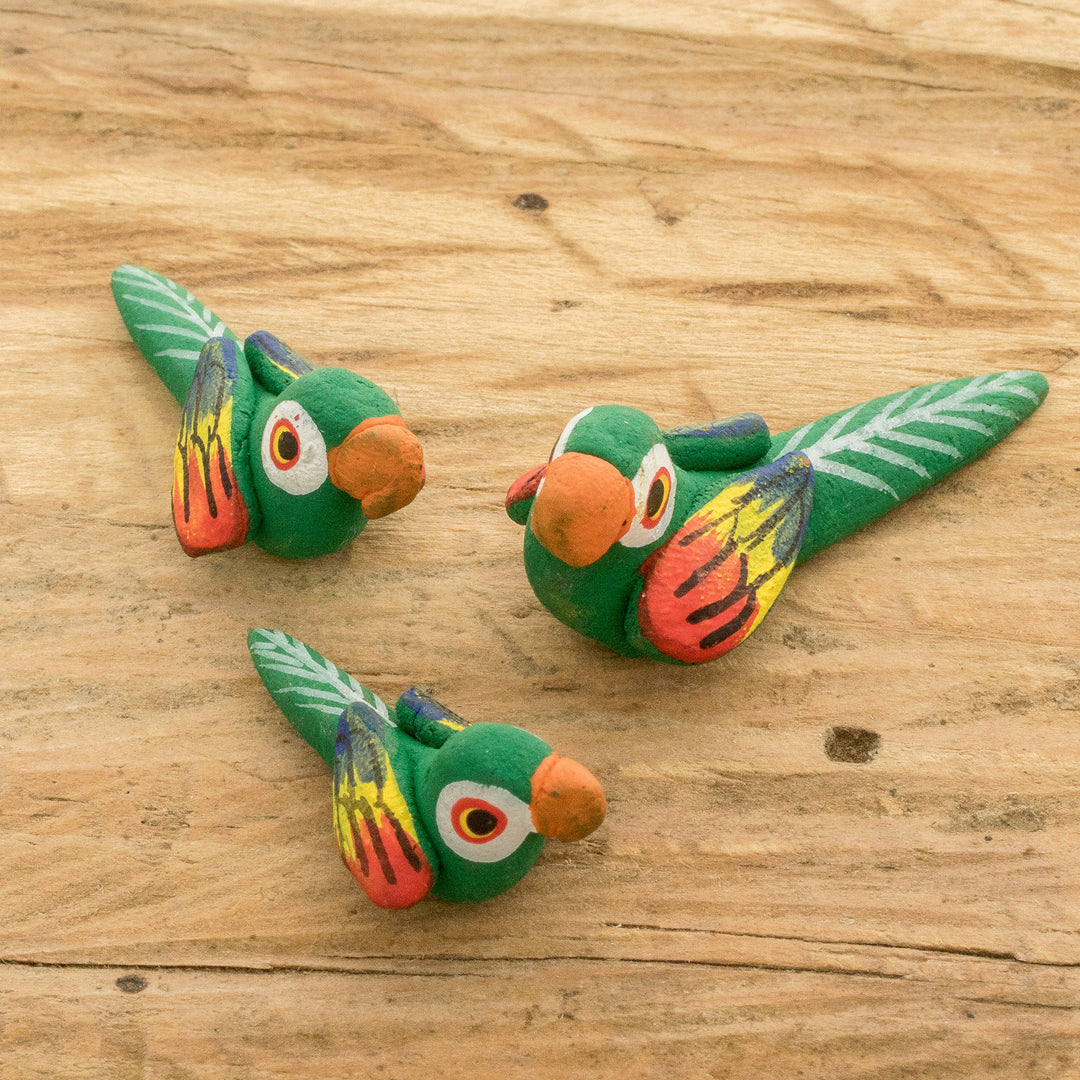 Colorful Macaw Reunion
