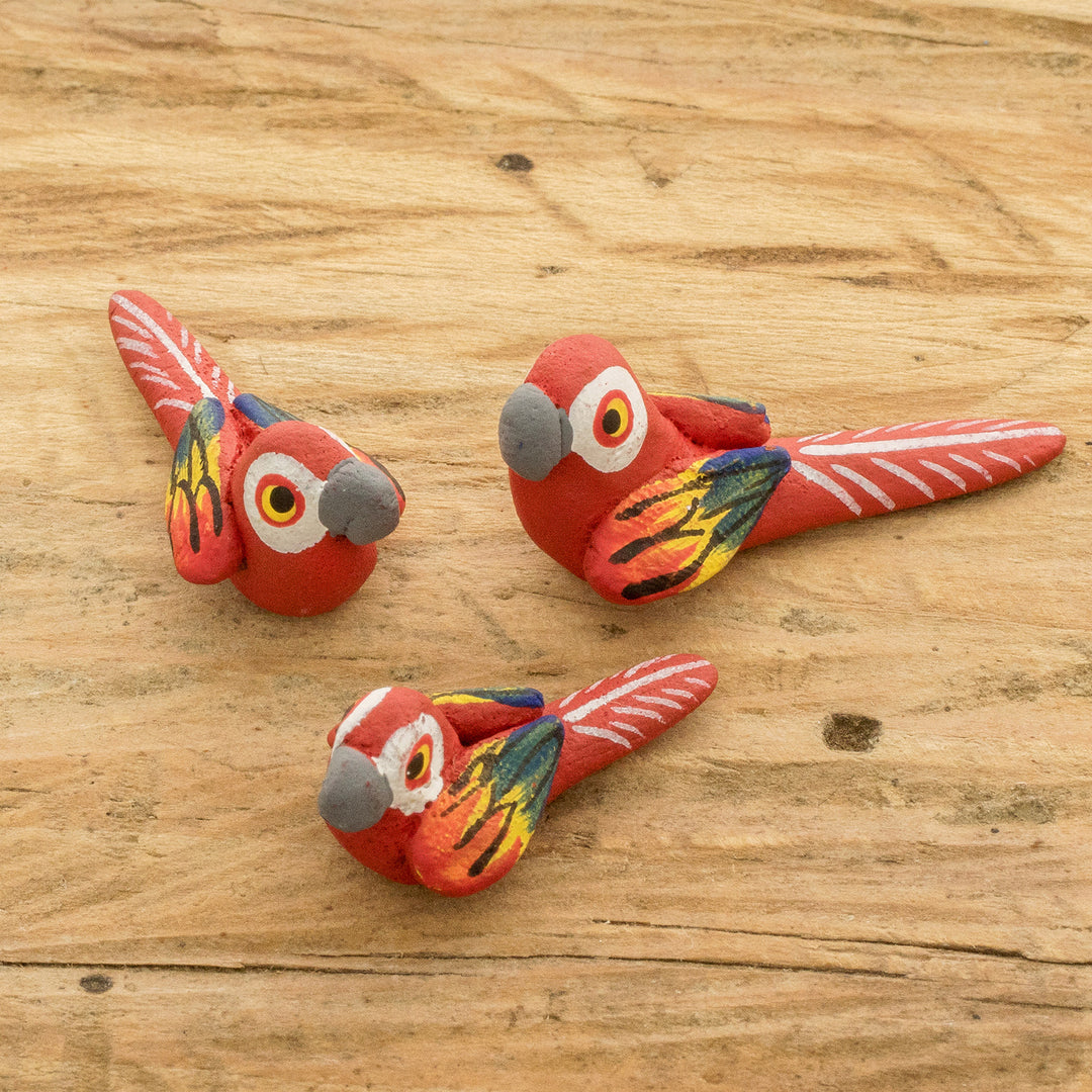 Macaw Reunion