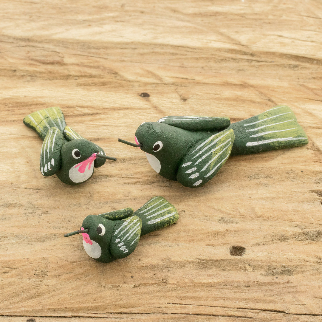 Hummingbird Family