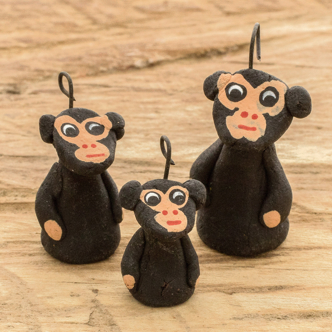Black Monkey Family