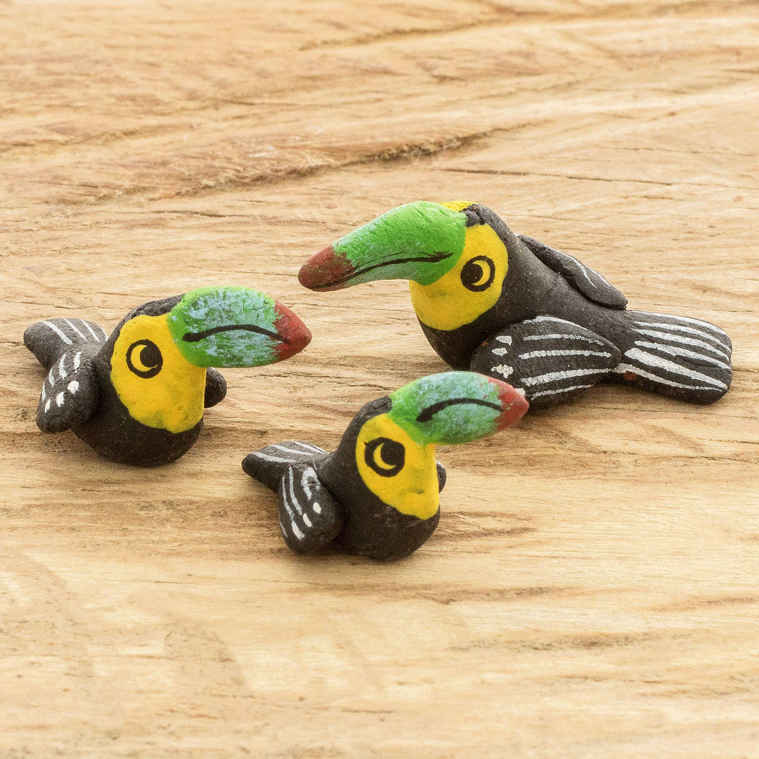 Toucan Family
