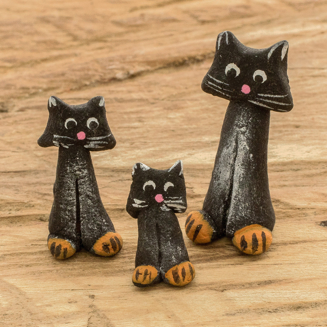 Black Cat Family