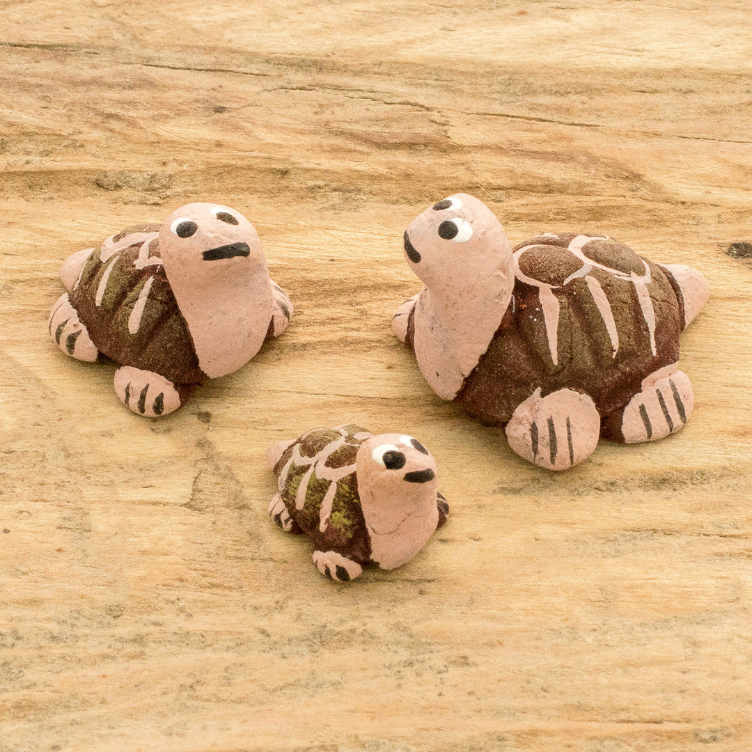 Tortoise Family