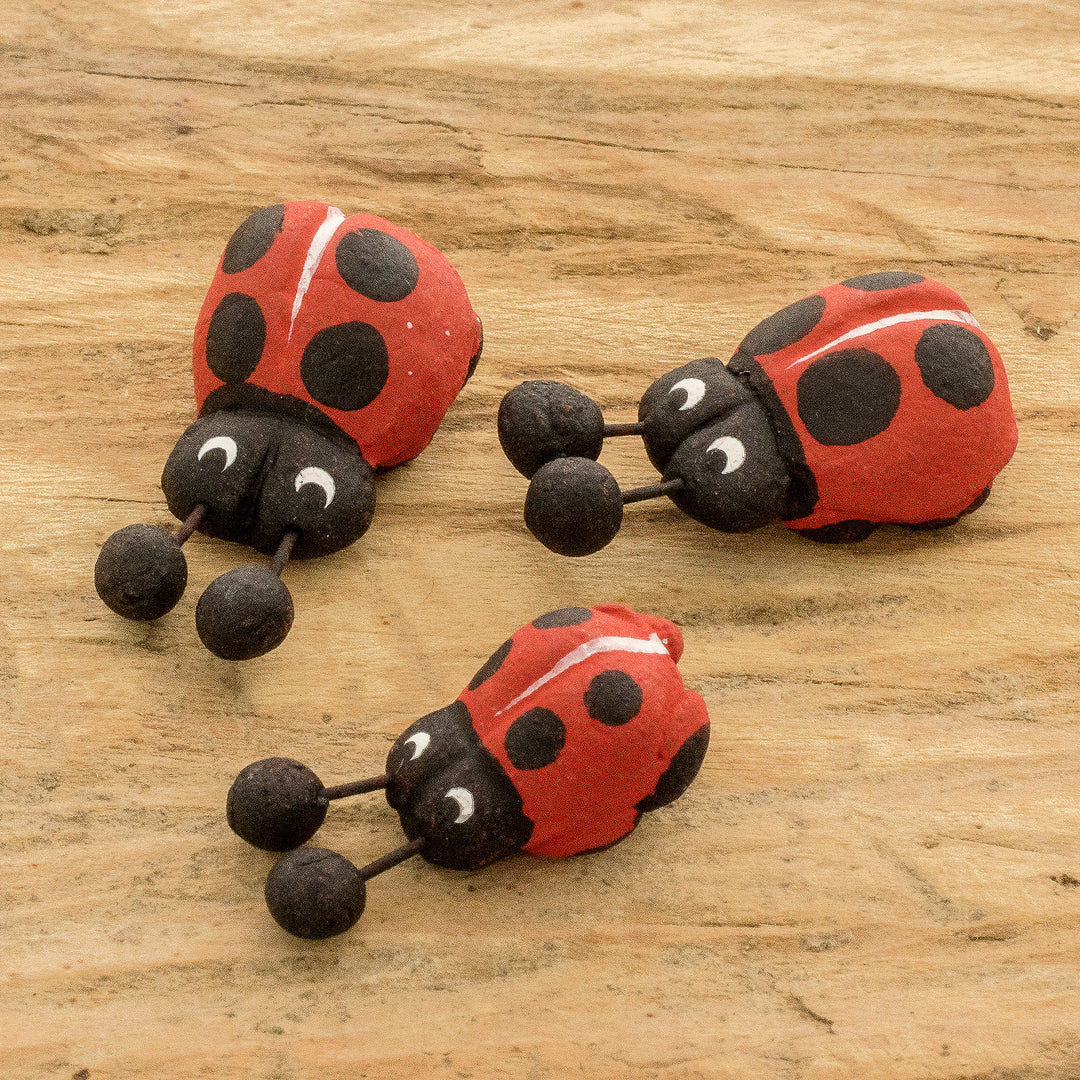 Ladybug Family