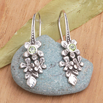 Blooms in Spring