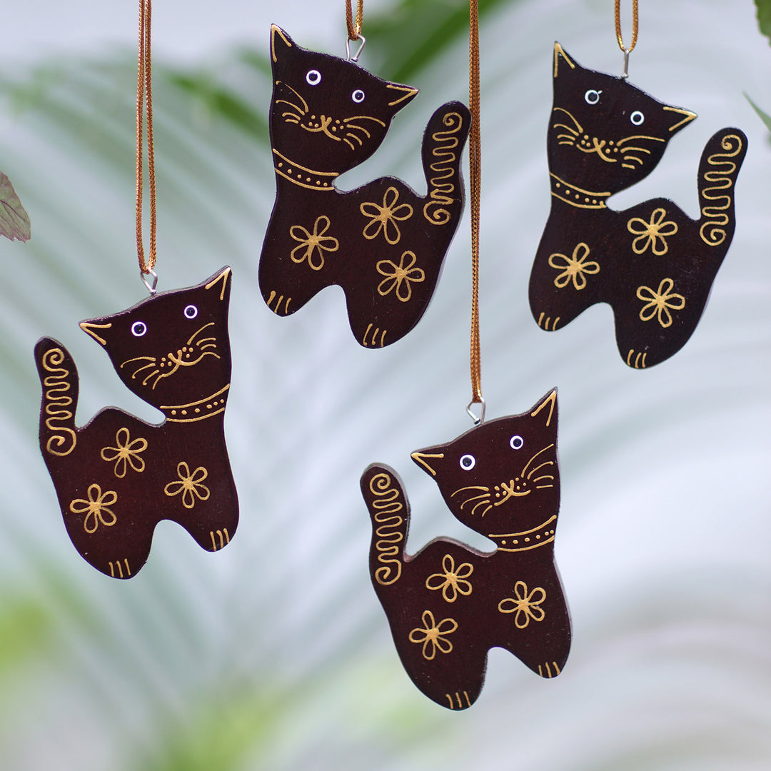 Sweet Felines