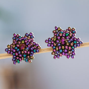 Litmus Star