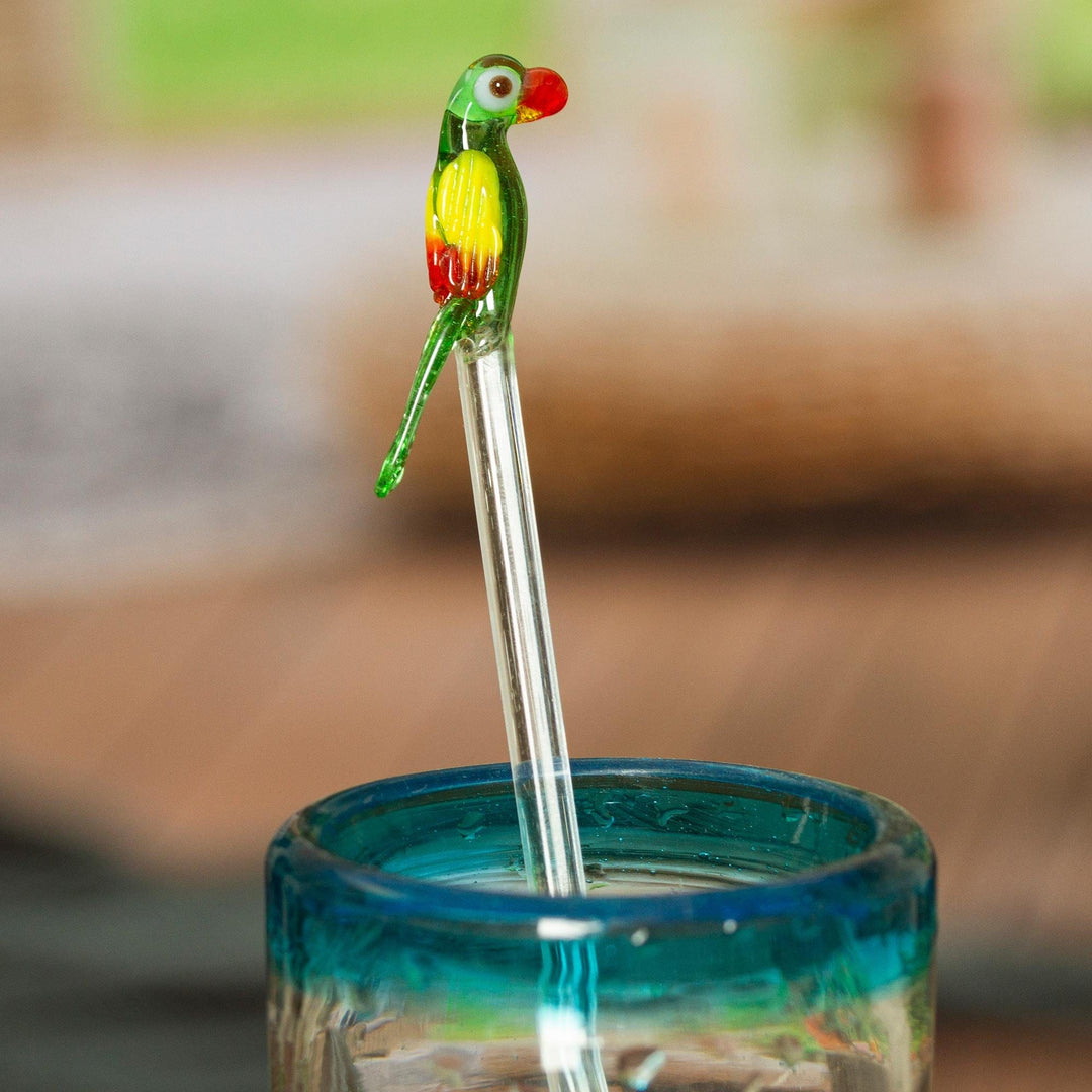 Charming Macaw