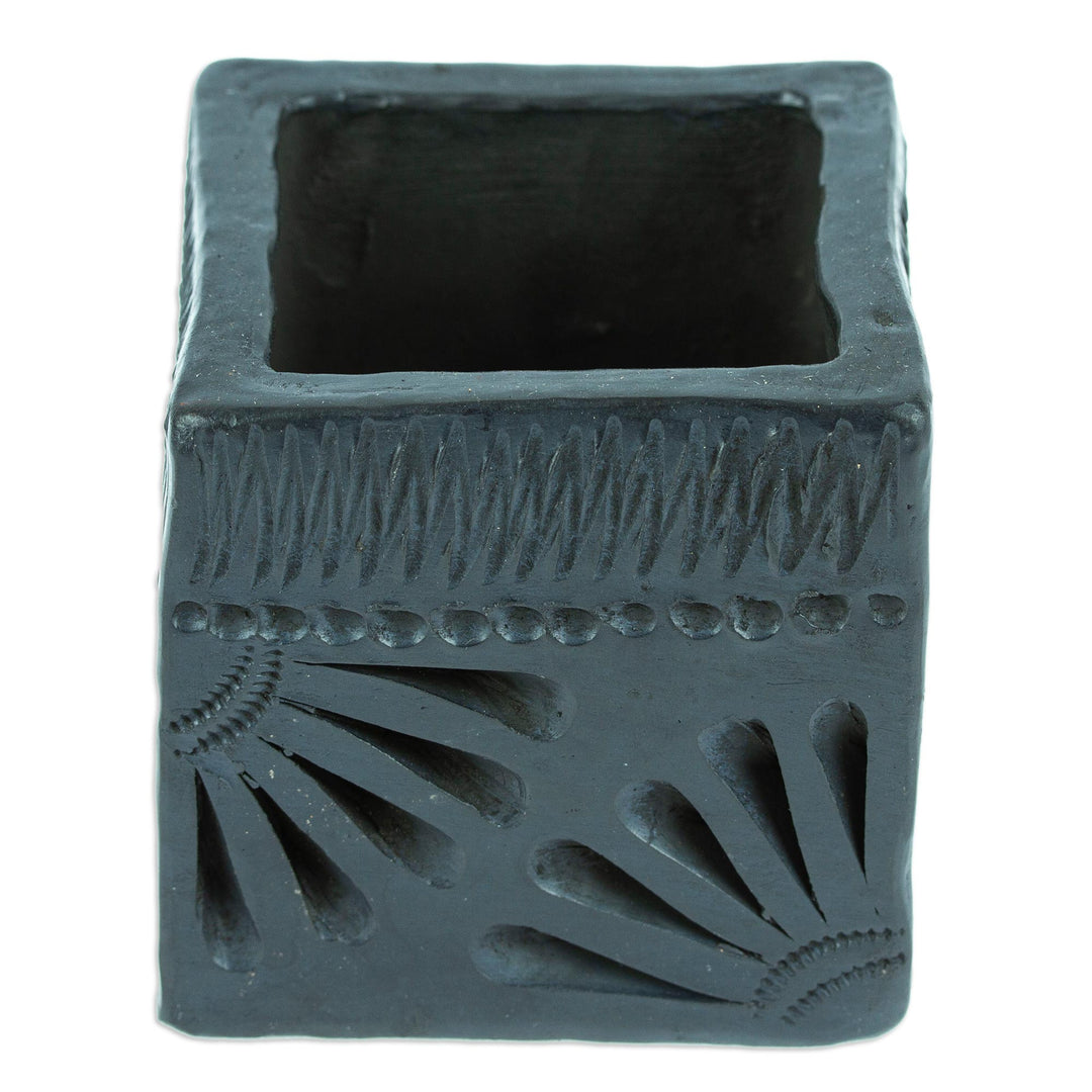 Mexican Handmade Barro Negro Black Ceramic Mini Flower Pot - Square & Peacock