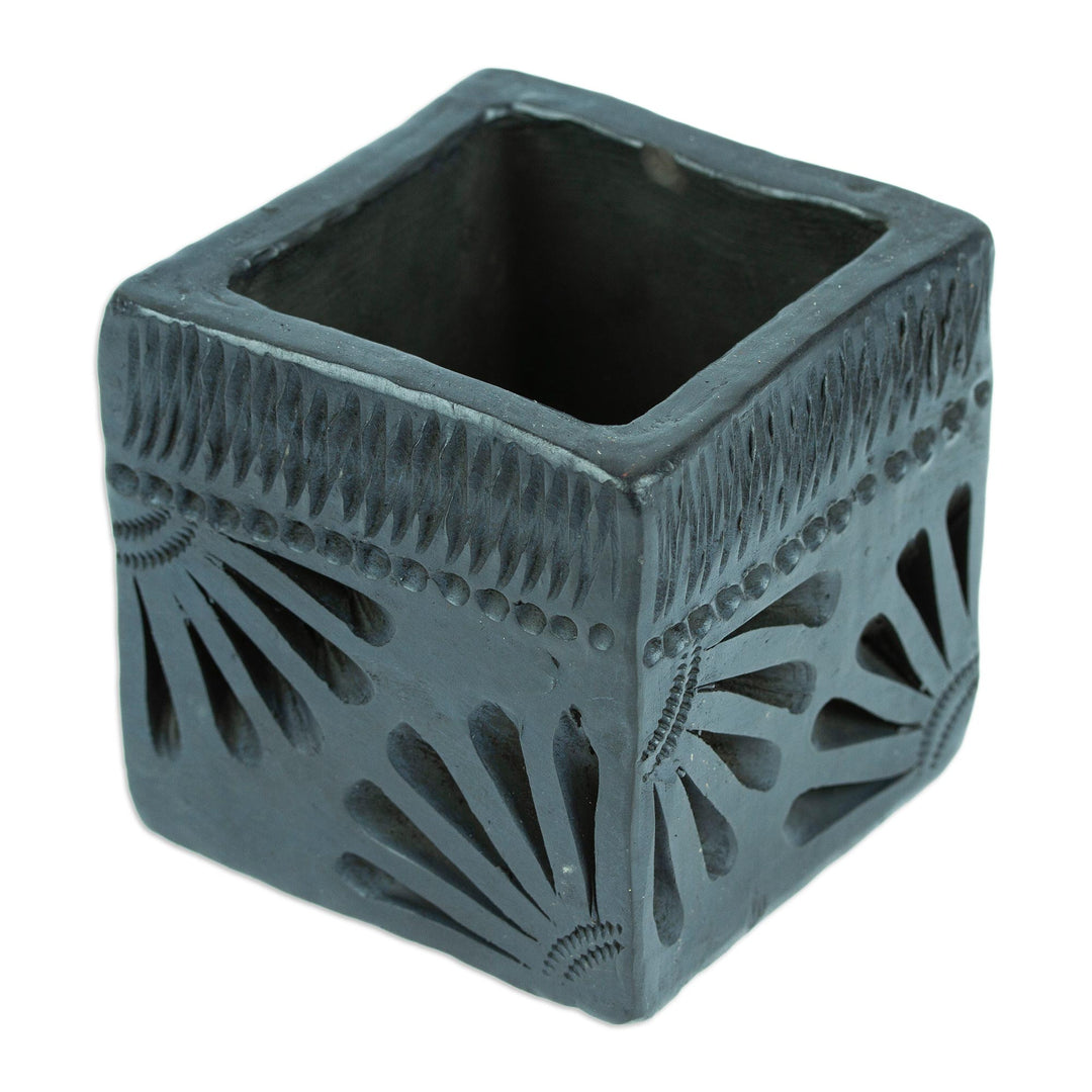Mexican Handmade Barro Negro Black Ceramic Mini Flower Pot - Square & Peacock