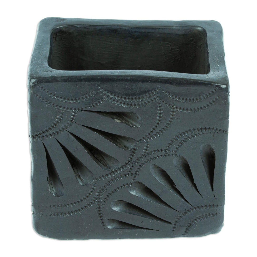 Barro Negro Black Ceramic Mini Flower Pot Handmade in Mexico - Square & Peacock Too