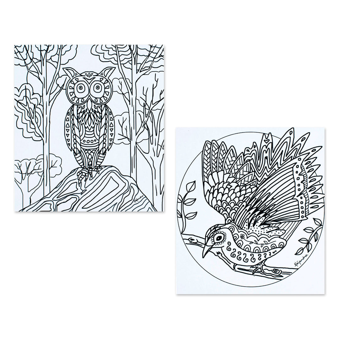Mexican Bird Themed Coloring Postcards (Pair) - Bird Enchantment