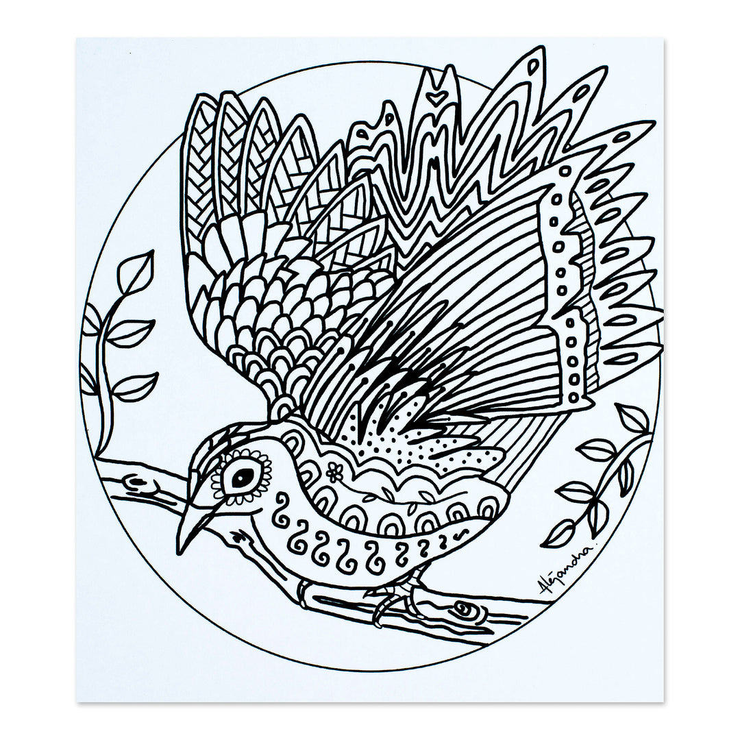 Mexican Bird Themed Coloring Postcards (Pair) - Bird Enchantment