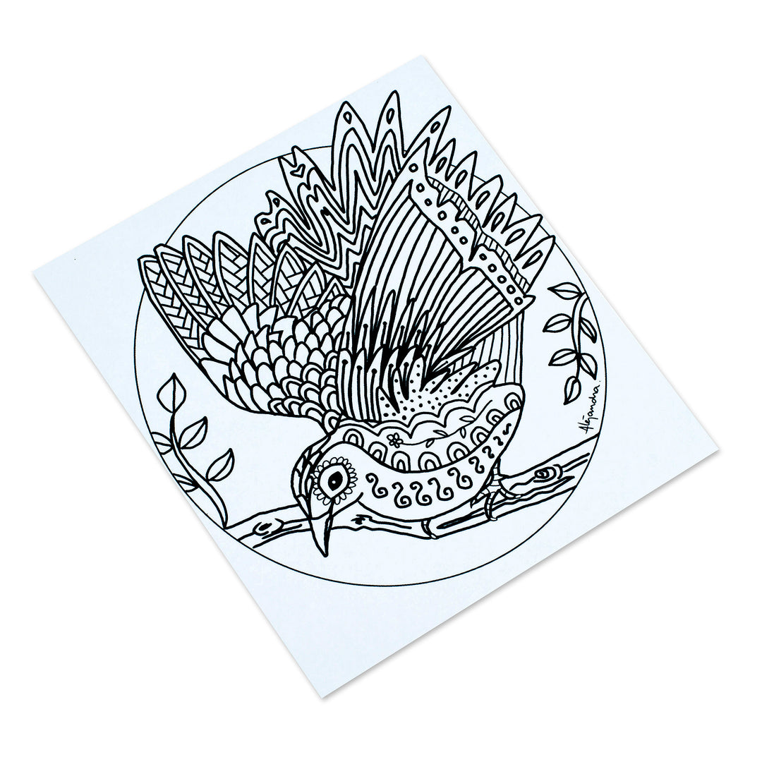 Mexican Bird Themed Coloring Postcards (Pair) - Bird Enchantment