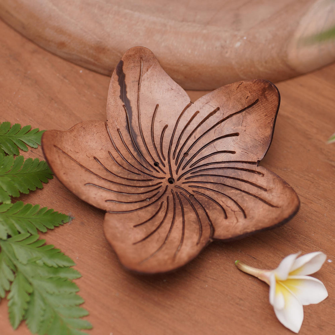 Hibiscus Home
