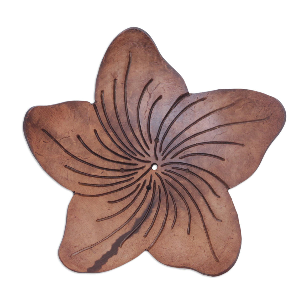 Balinese Artisan Made Floral Coconut Shell Soap Dish - Hibiscus Home