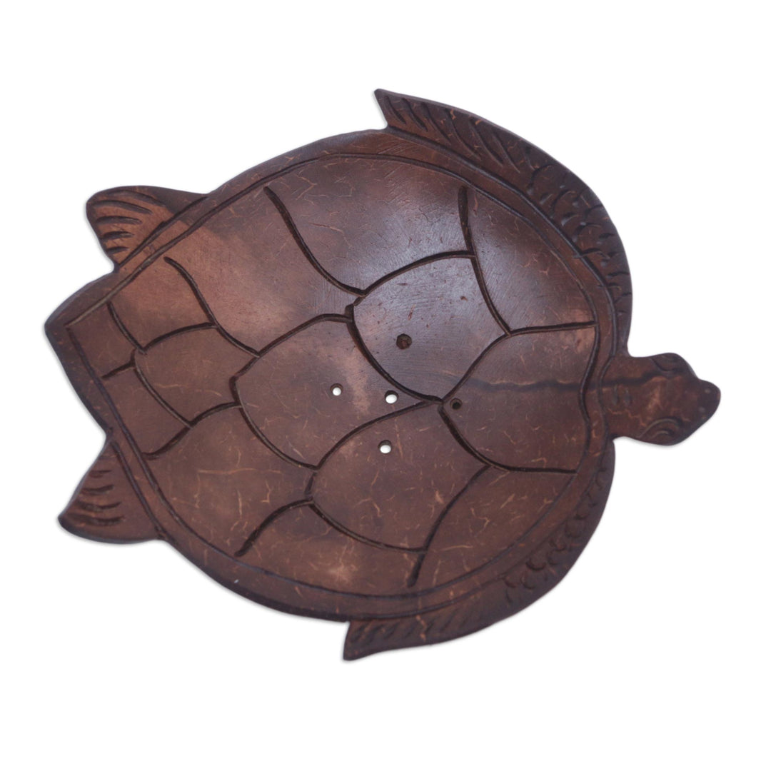 Artisan Carved Turtle-Themed Coconut Soap Holder from Bali - Spotless Shell