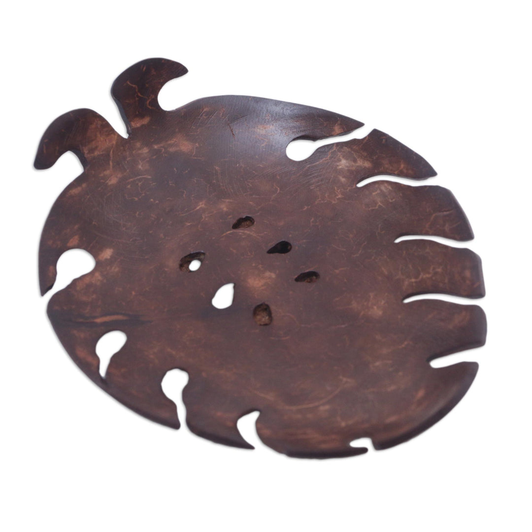 Handmade Tropical Leaf-Themed Coconut Soap Holder from Bali - Little Monstera