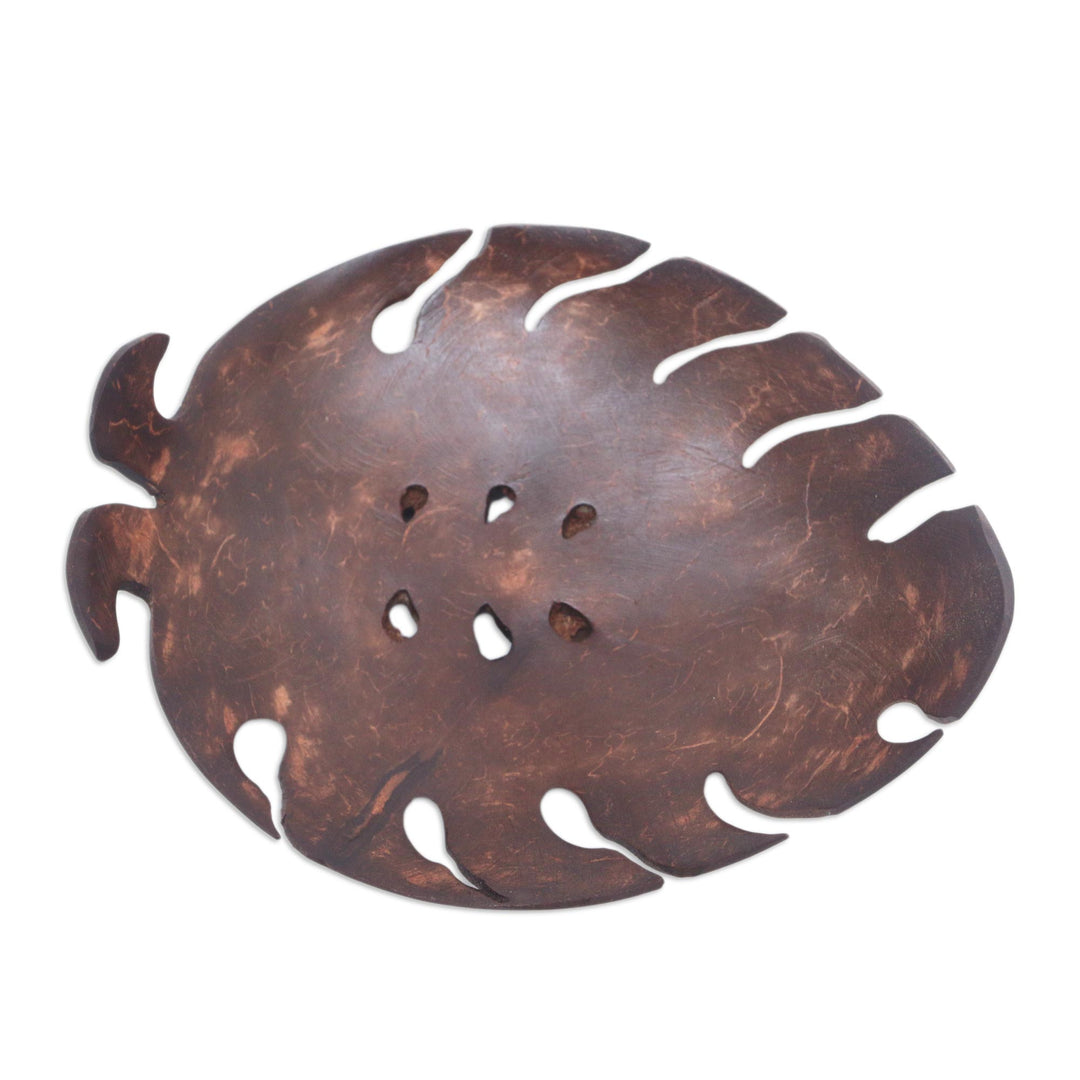 Handmade Tropical Leaf-Themed Coconut Soap Holder from Bali - Little Monstera